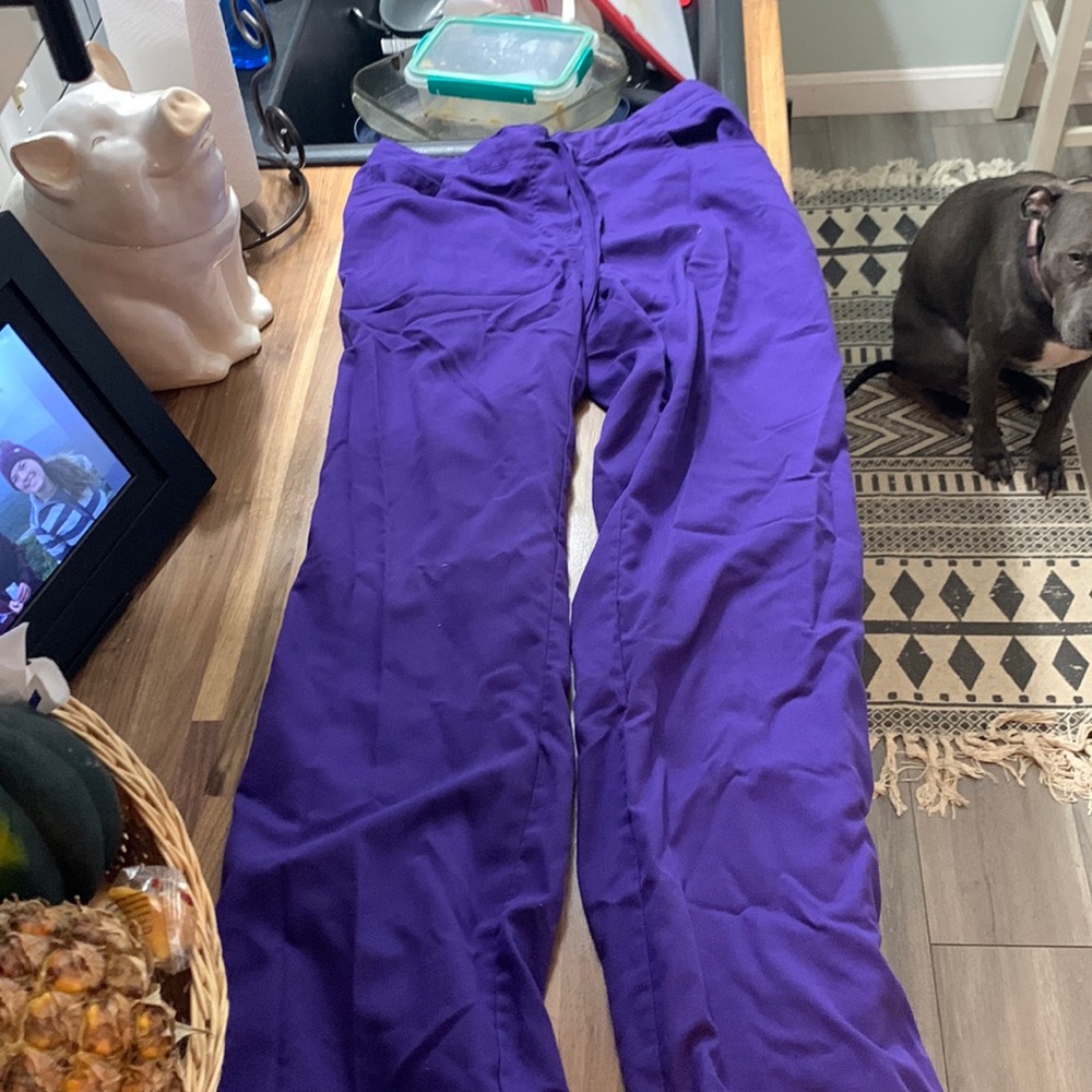 Grey’s Anatomy XS Barco purple scrub pants